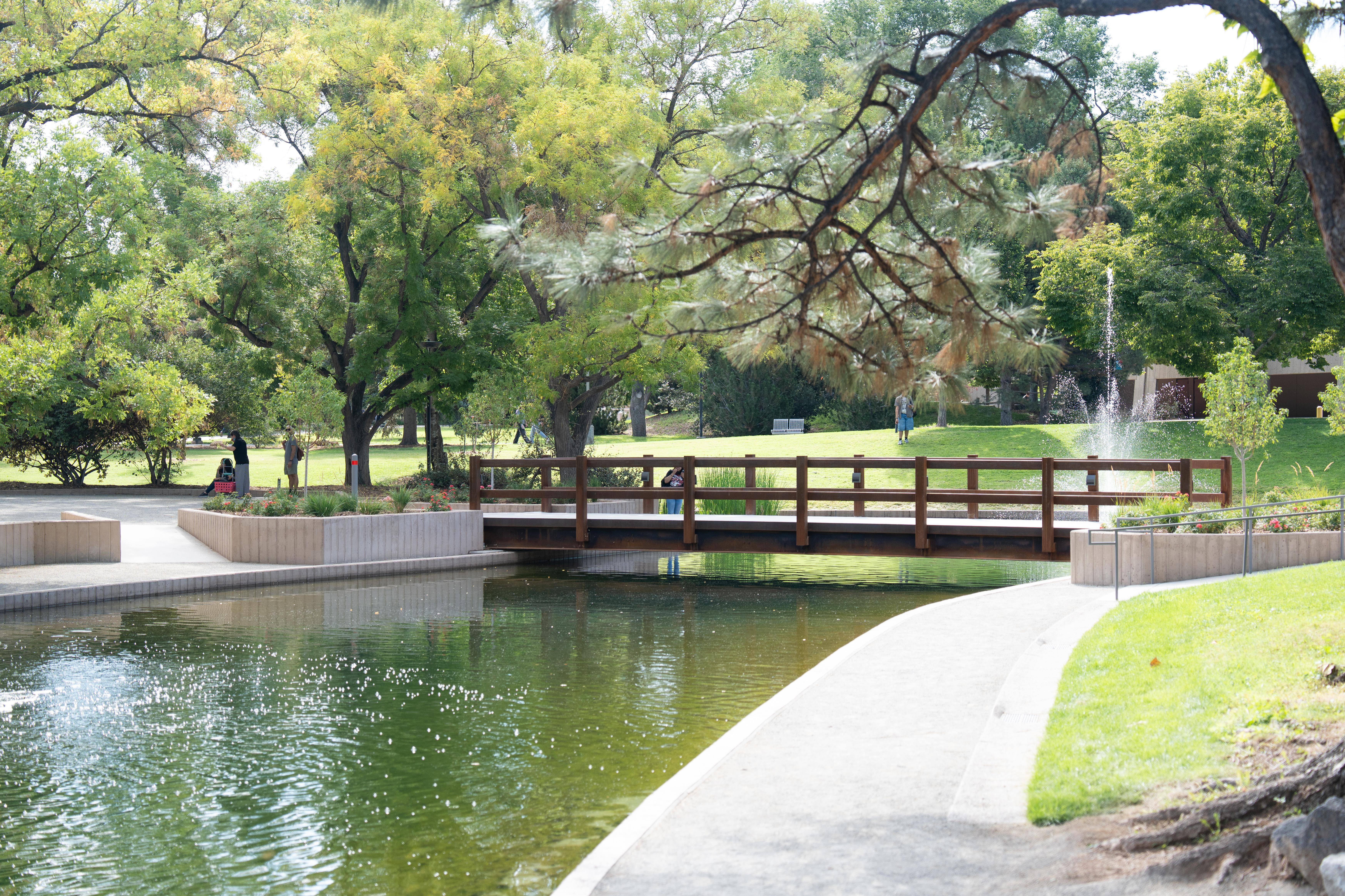 UNM Duck Pond